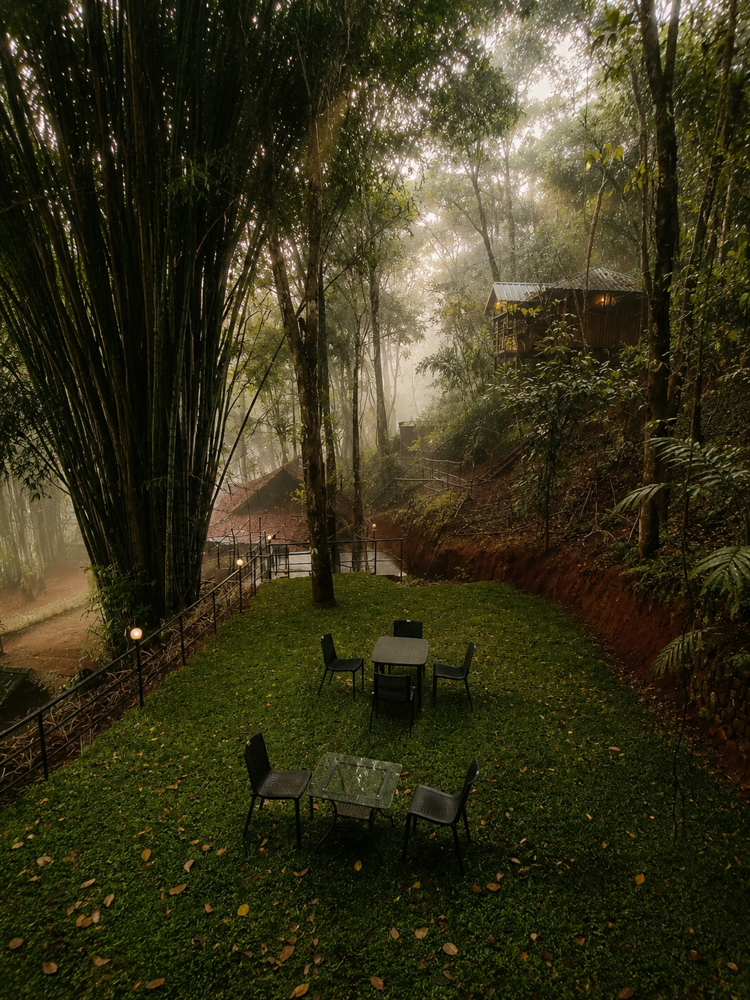 Forest Trails, garden view