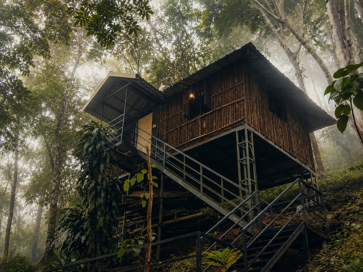 Sparrow Hut, an elevated wooden cottage on stilts reached by a staircase, set among tall forest trees